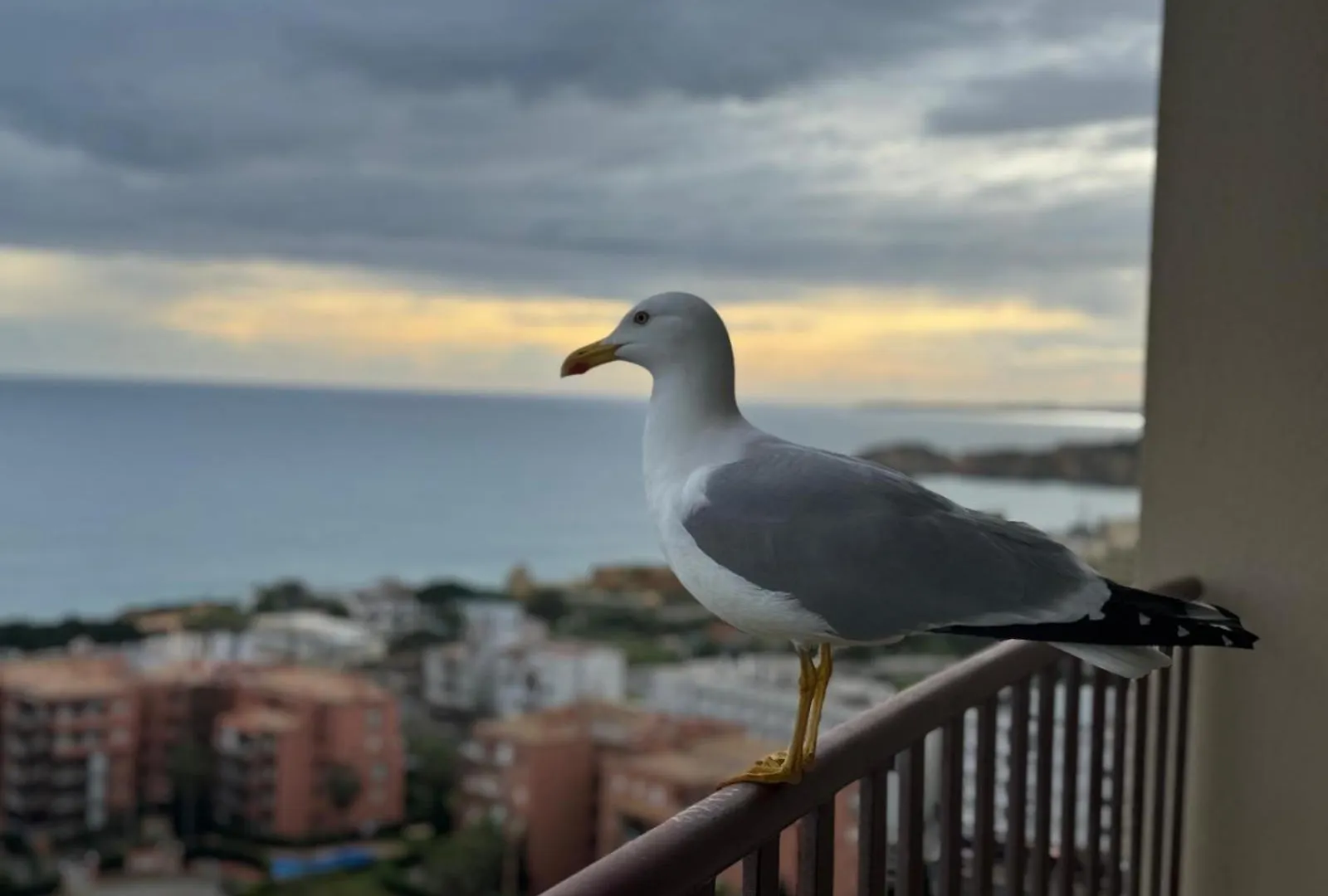 Sofiamarholidays - Casa Praia Mar Portimao